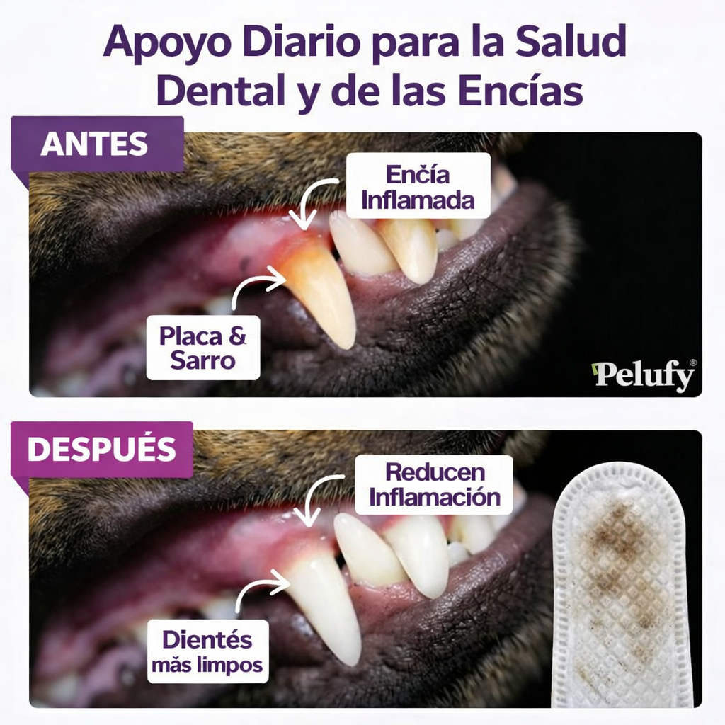 Toallitas Dentales Pelufy