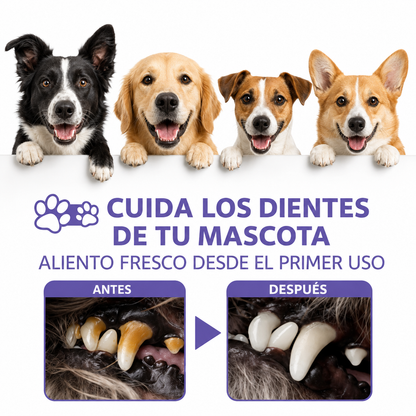 Spray Dental Para Perros Pelufy