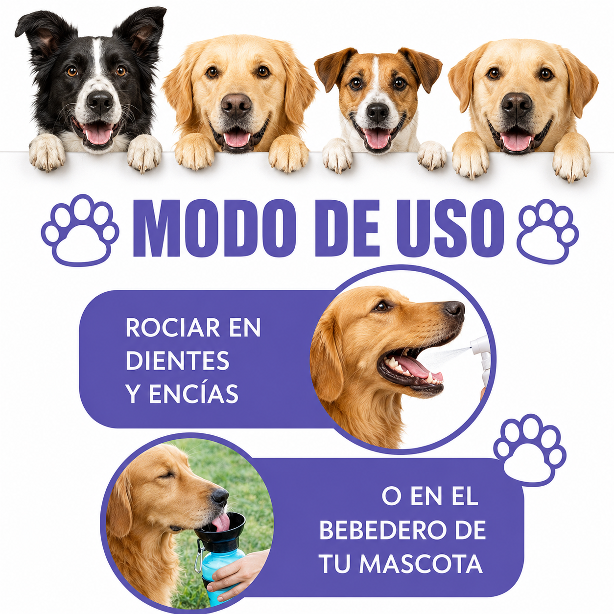 Spray Dental Para Perros Pelufy