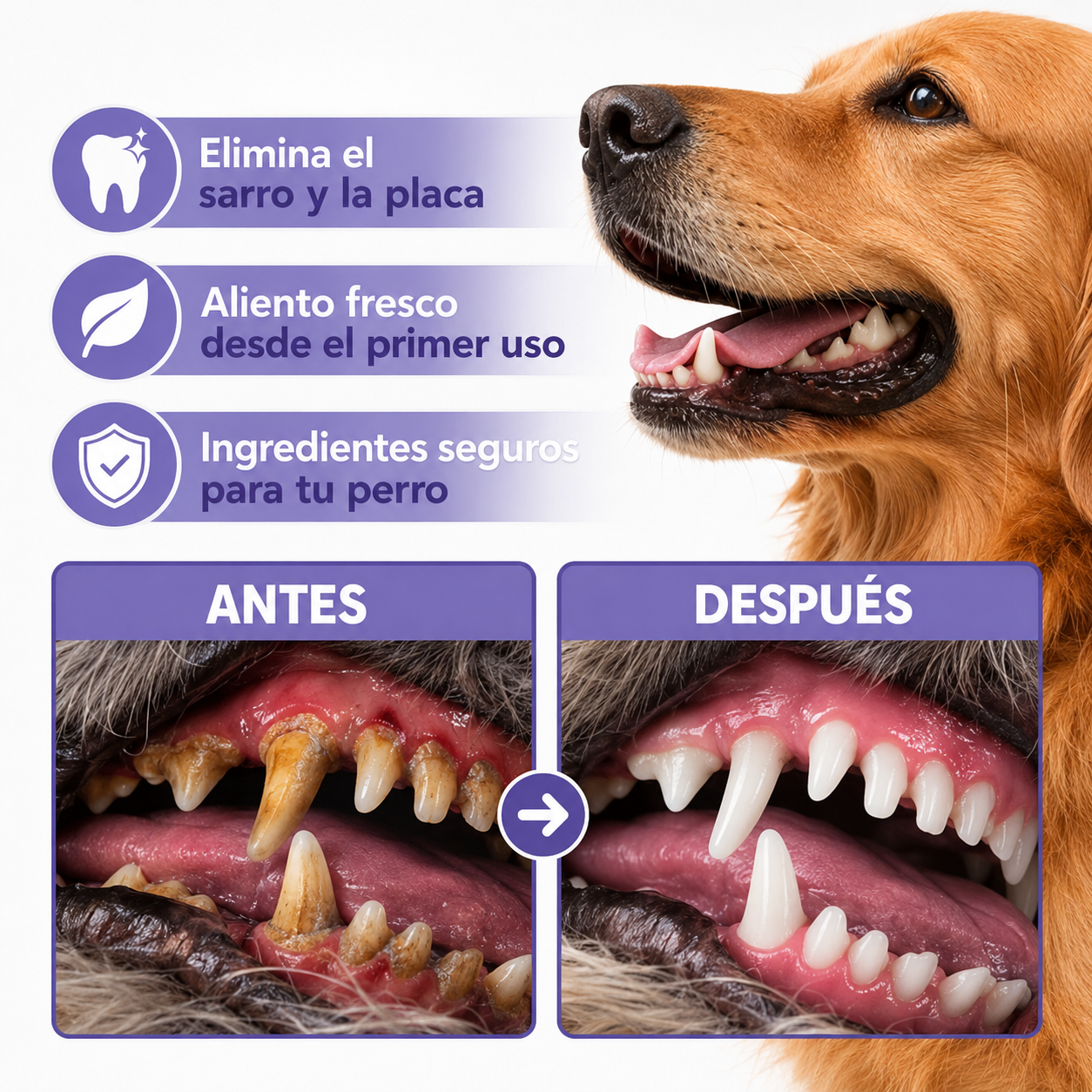 Spray Dental Para Perros Pelufy