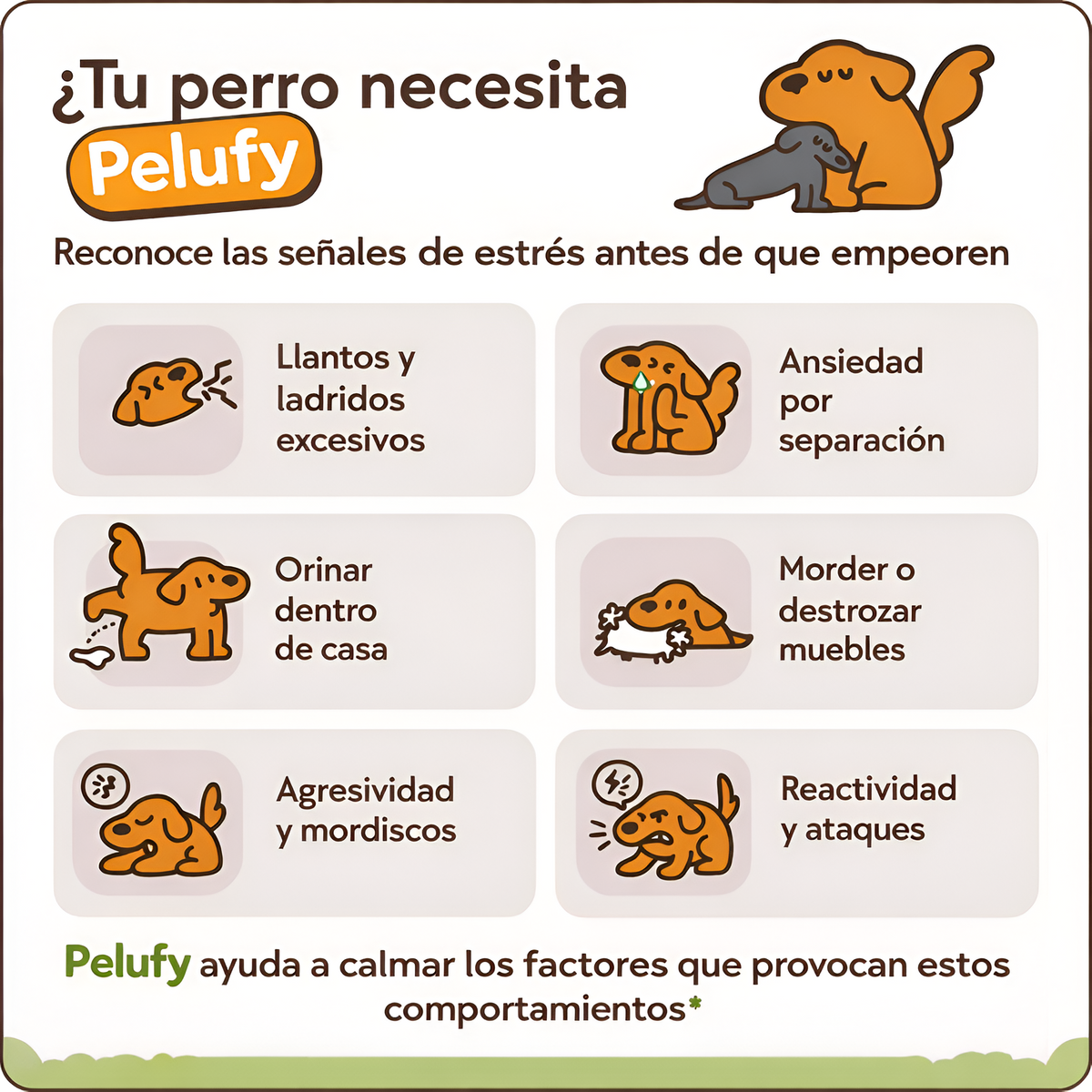 Kit difusor calmante para perros