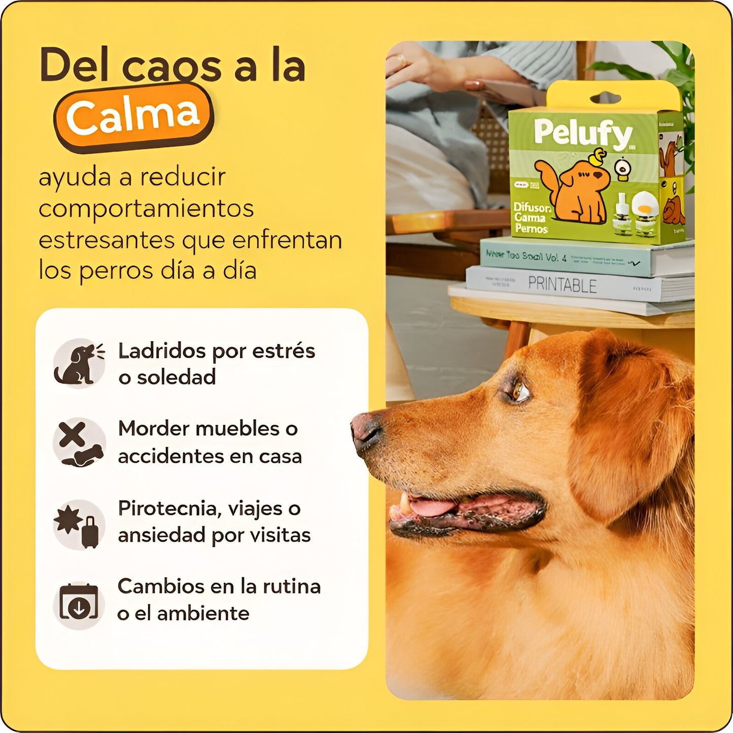Kit difusor calmante para perros