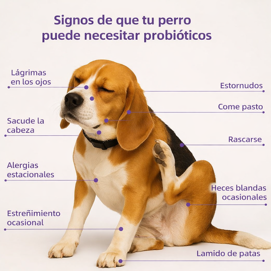 Pelufy Probiótico 8 en 1