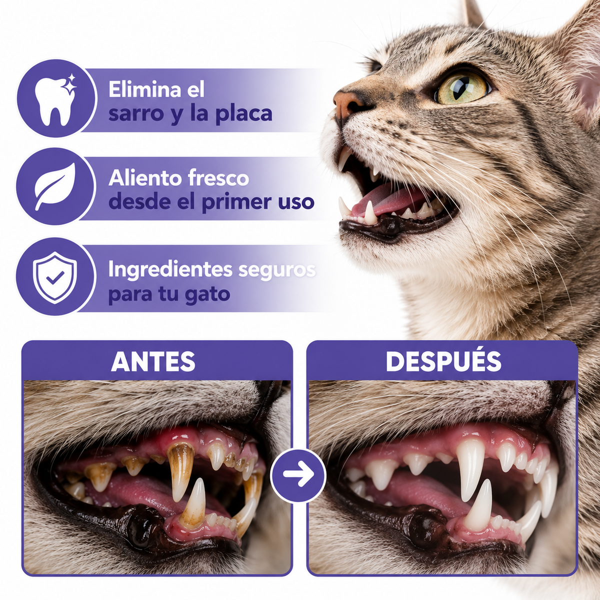 Spray Dental Para Gatos Pelufy