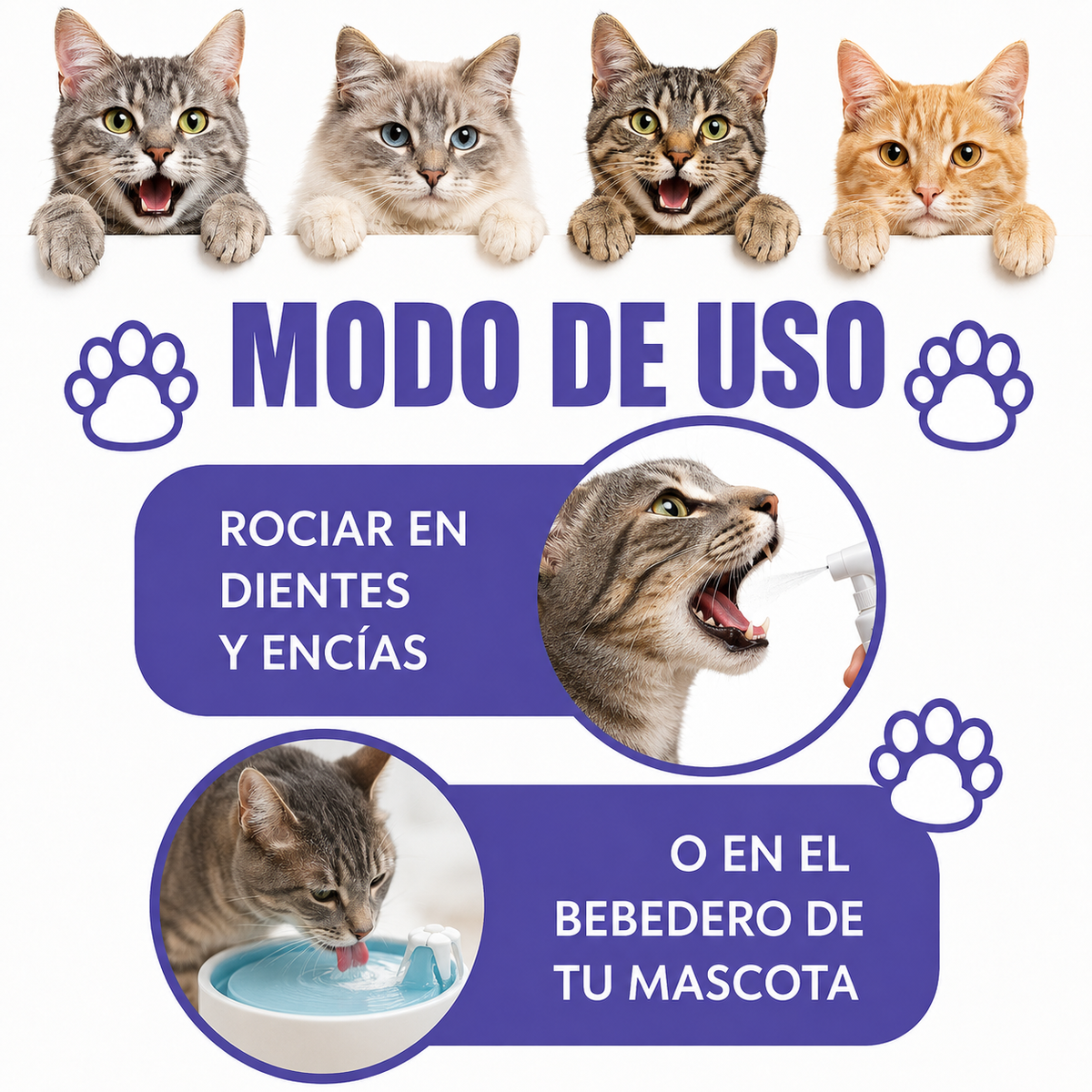 Spray Dental Para Gatos Pelufy