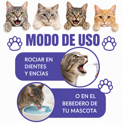 Spray Dental Para Gatos Pelufy