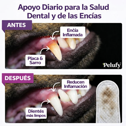 Toallitas Dentales Pelufy